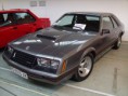 /album/encuentros-inesperados/a1979mustang-jpg/